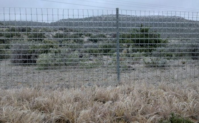 A Seasonal Guide to Deer Fence Installation to Protect Your Property